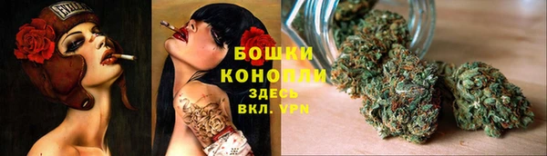 индика Горняк