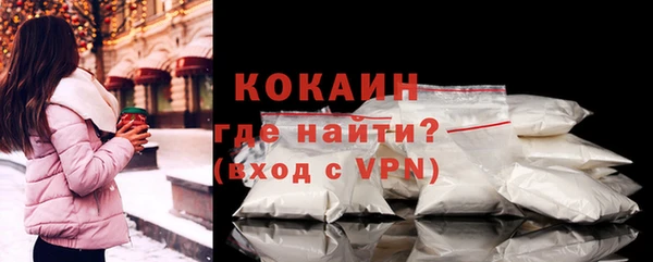 индика Горняк