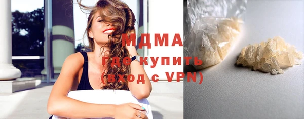 индика Горняк