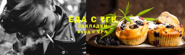 индика Горняк