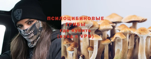 стаф Горно-Алтайск