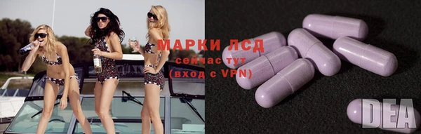 мдпв Горнозаводск