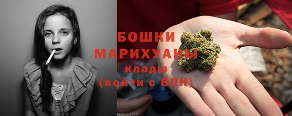 мдпв Горнозаводск
