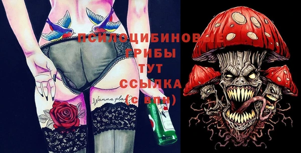 мдпв Горнозаводск