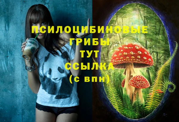 мдпв Горнозаводск