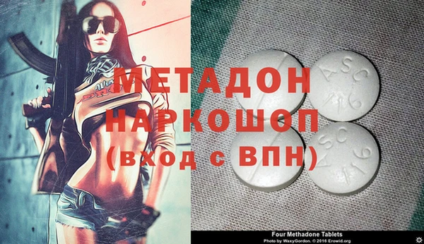 индика Горняк