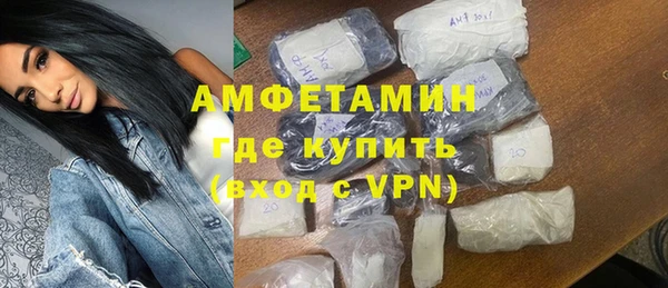 индика Горняк
