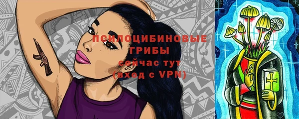 мдпв Горнозаводск