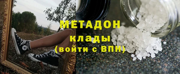 индика Горняк