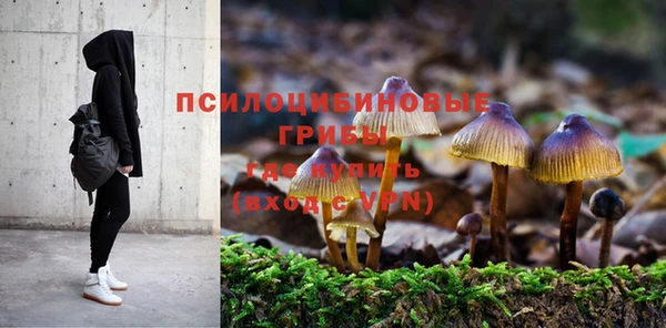 мдпв Горнозаводск