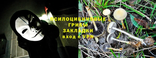 стаф Горно-Алтайск