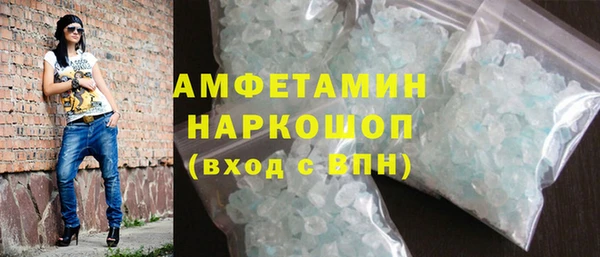 индика Горняк