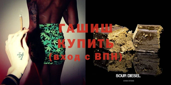 индика Горняк