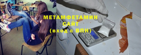 индика Горняк